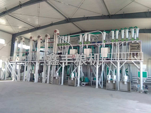 新疆奇台60吨玉米加工设备
